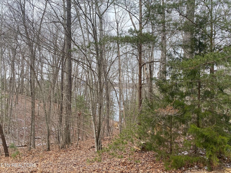 36 Milnor Ter, Fairfield Glade, TN 38558