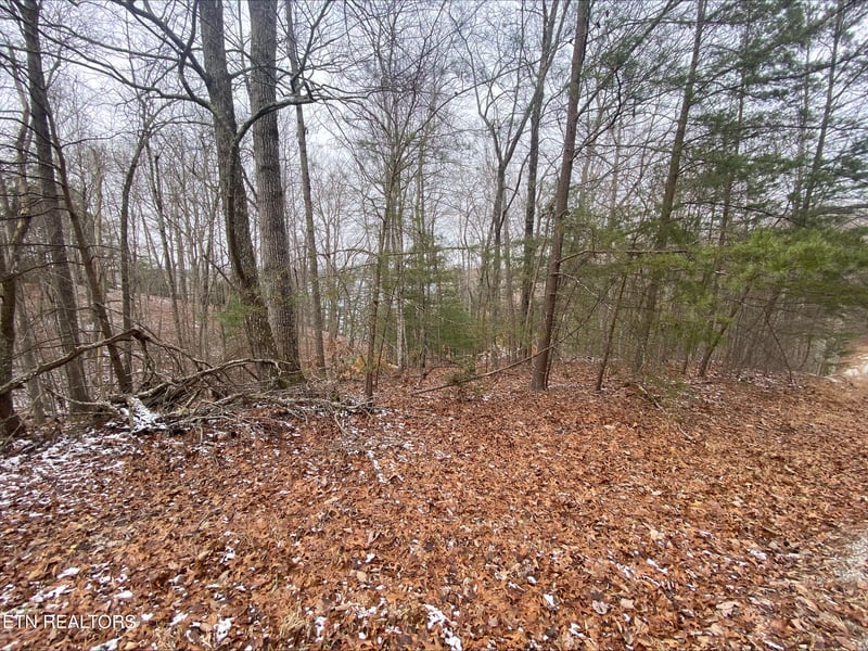 36 Milnor Ter, Fairfield Glade, TN 38558