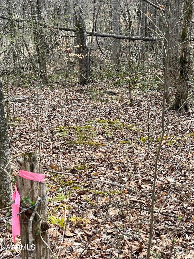 360 Holder Hollow Rd, Kingston, TN 37763