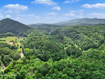 3616 Henry Town Rd, Sevierville, TN 37876