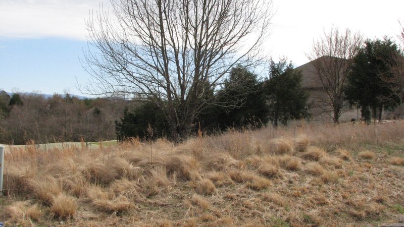 3618 Dudi Tr, Vonore, TN 37885