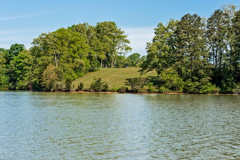 362 Morganton, Greenback, TN 37742