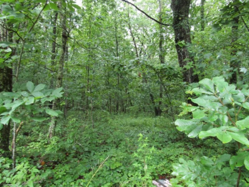 362 Sunset Rd, Crossville, TN 38572