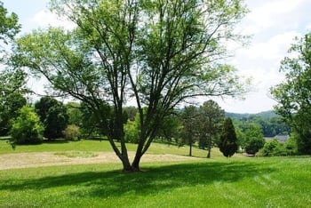 3624 Topside Rd, Knoxville, TN 37920