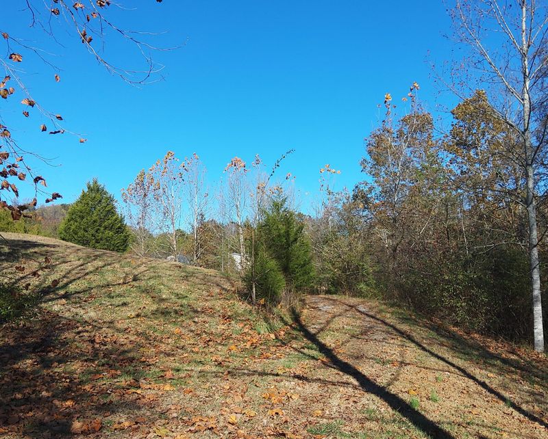 363 Payne Rd, Tellico Plains, TN 37385