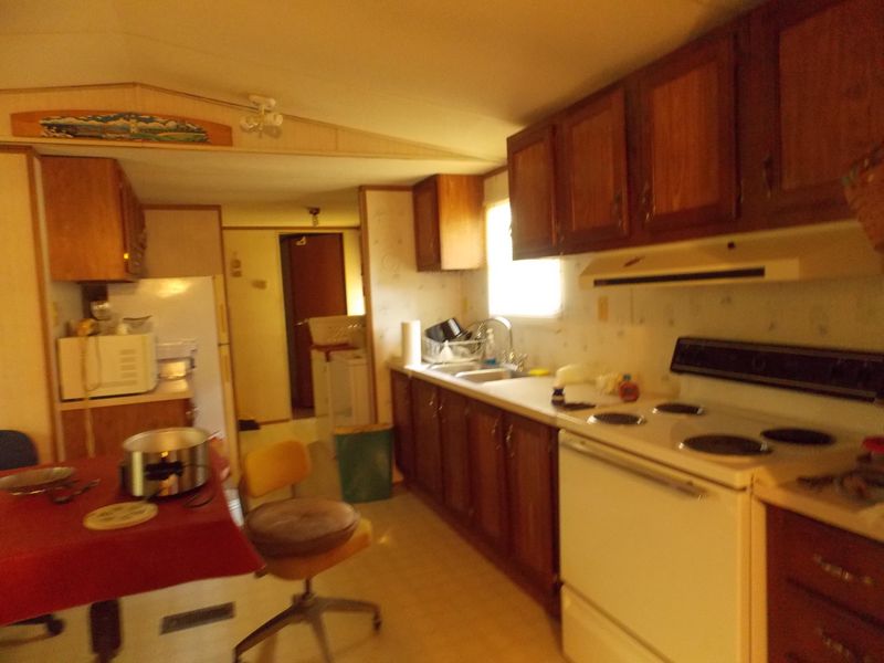 363 Stewart Wilson Rd, Tellico Plains, TN 37385
