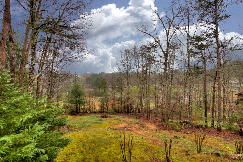 3638 Marshall Ln, Sevierville, TN 37862