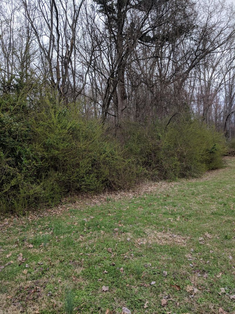364 County Ln, Loudon, TN 37774
