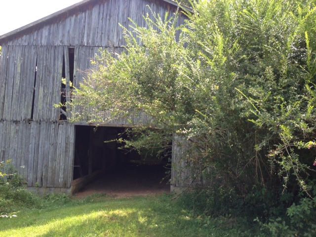 364 Owl Hole Gap Rd, Rutledge, TN 37861