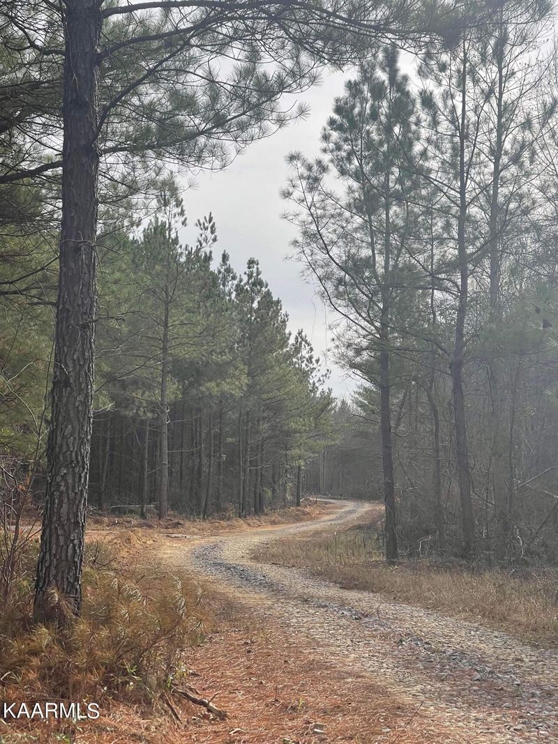 365 Hickory Rd, Deer Lodge, TN 37726