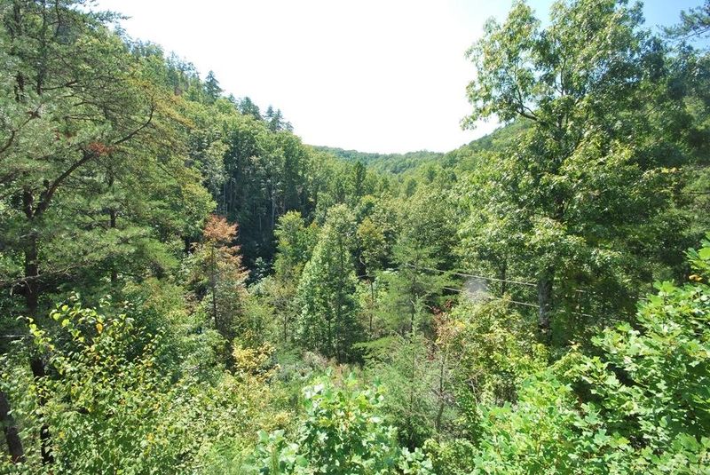 3660 Blossom Hollow Way, Sevierville, TN 37876