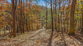 367 Cagle Rd, Tellico Plains, TN 37385