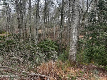 367 Mcjunkin Rd, Tellico Plains, TN 37385
