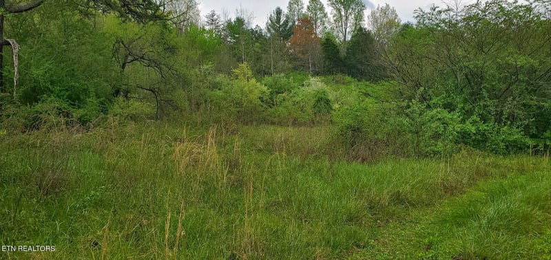 368 Roe Carter Rd, Oakdale, TN 37829