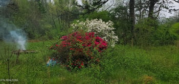 368 Roe Carter Rd, Oakdale, TN 37829