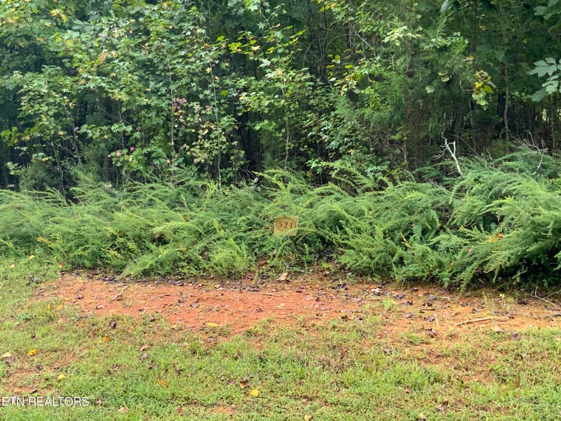 368 Walking Horse Tr, Rockwood, TN 37854