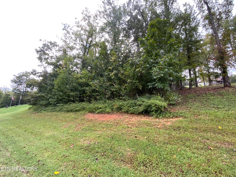 368 Walking Horse Tr, Rockwood, TN 37854