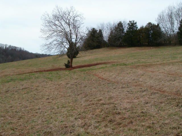 369 Craighead Rd, Madisonville, TN 37354
