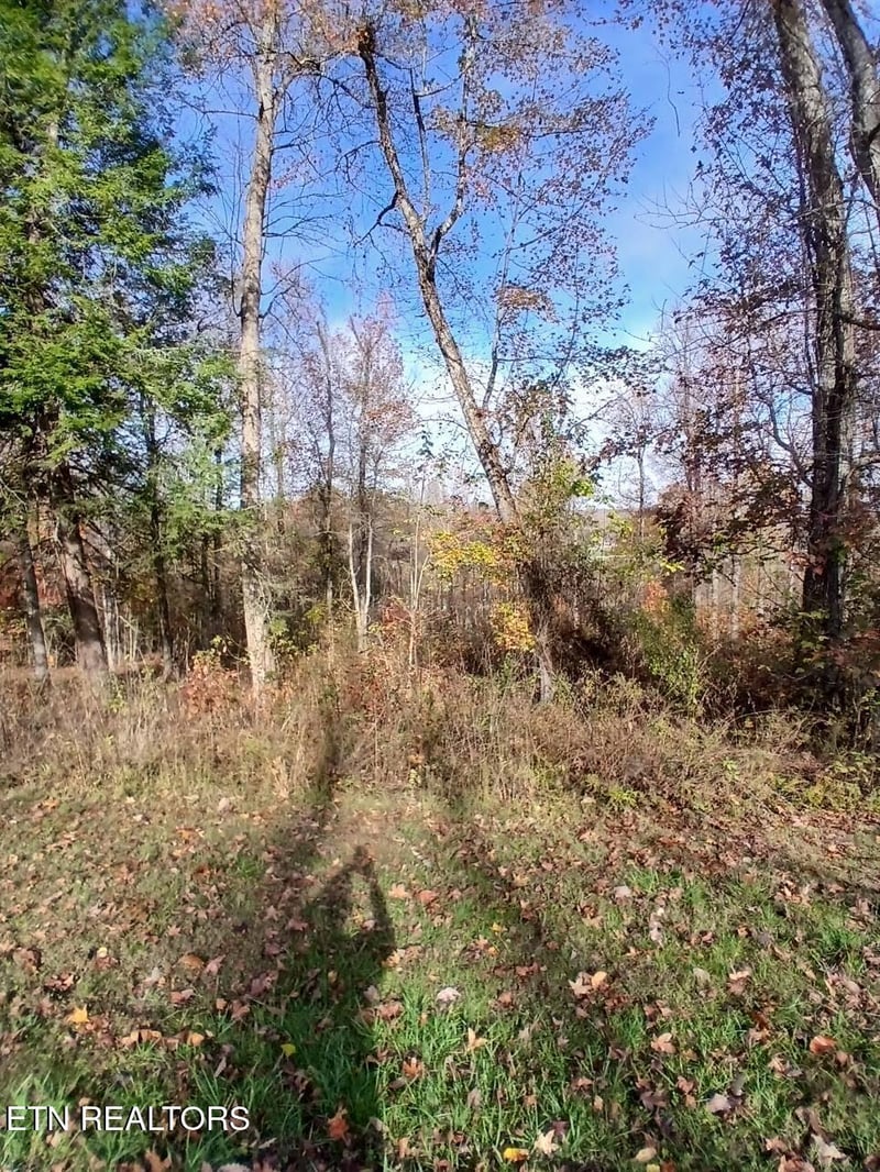 369 Walking Horse Tr, Rockwood, TN 37854