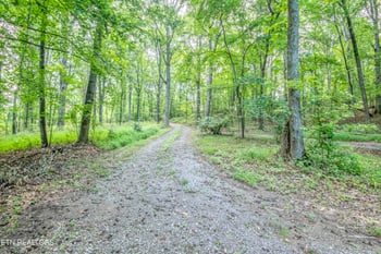 3690 Loudon Ridge Rd, Lenoir City, TN 37771