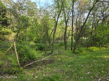 3697 Jackson Bend Rd, Lenoir City, TN 37772