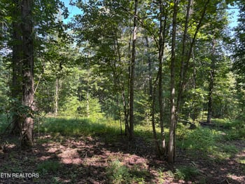 371 Walking Horse Tr, Rockwood, TN 37854
