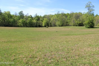 3710 Wayne Bryant Rd, Louisville, TN 37777