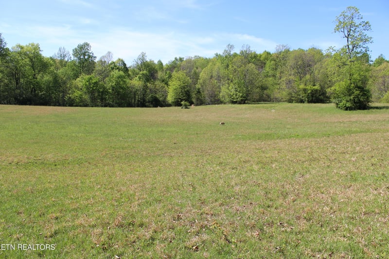 3710 Wayne Bryant Rd, Louisville, TN 37777