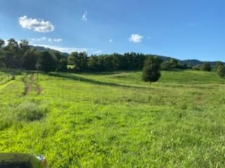 3711 Dutch Valley Rd, Clinton, TN 37716