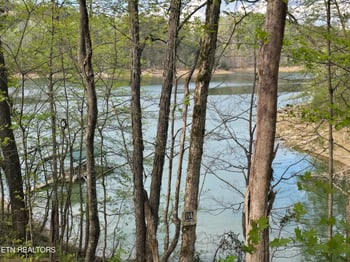 3711 Elm Springs Ridge Rd, Washburn, TN 37888