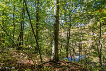 3717 Hickory Valley Rd, Maynardville, TN 37807