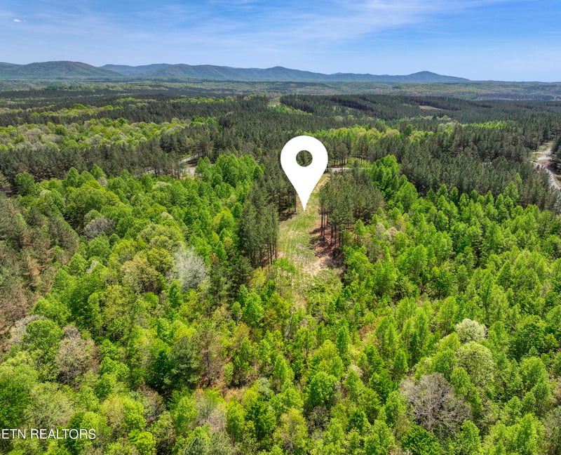 372 Stonecipher Ct, Sunbright, TN 37872