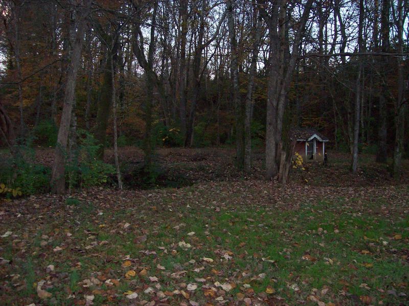 372 Wilhite, Strawberry Plains, TN 37871