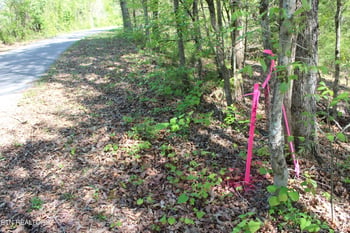 3720 Wayne Bryant Rd, Louisville, TN 37777