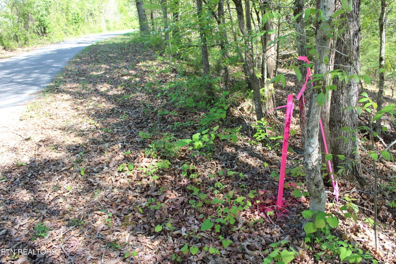 3720 Wayne Bryant Rd, Louisville, TN 37777
