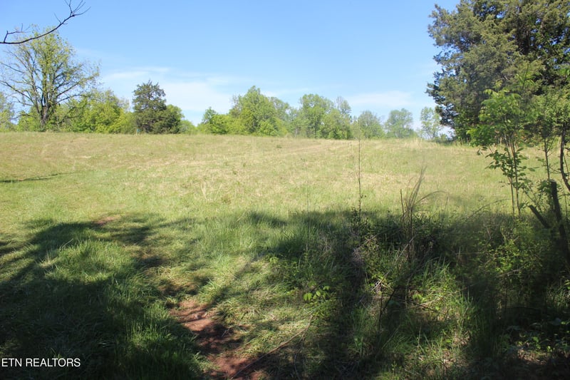 3720 Wayne Bryant Rd, Louisville, TN 37777
