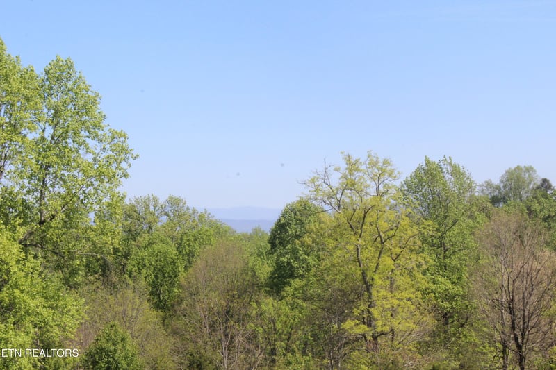 3720 Wayne Bryant Rd, Louisville, TN 37777
