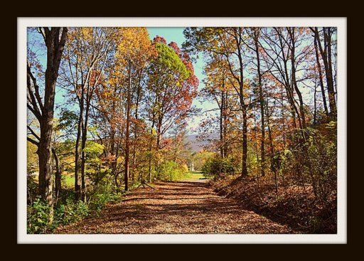 3724 Pleasant View Ln, Pigeon Forge, TN 37862