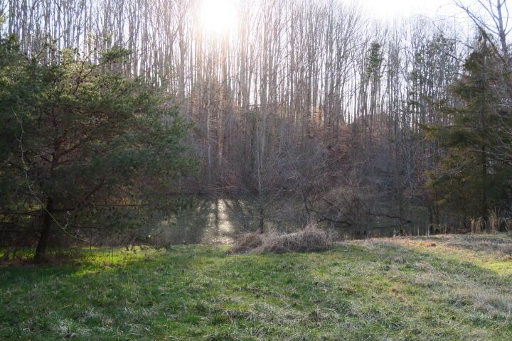 3726 Freels Rd, Friendsville, TN 37737