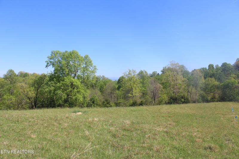 3730 Wayne Bryant Rd, Louisville, TN 37777