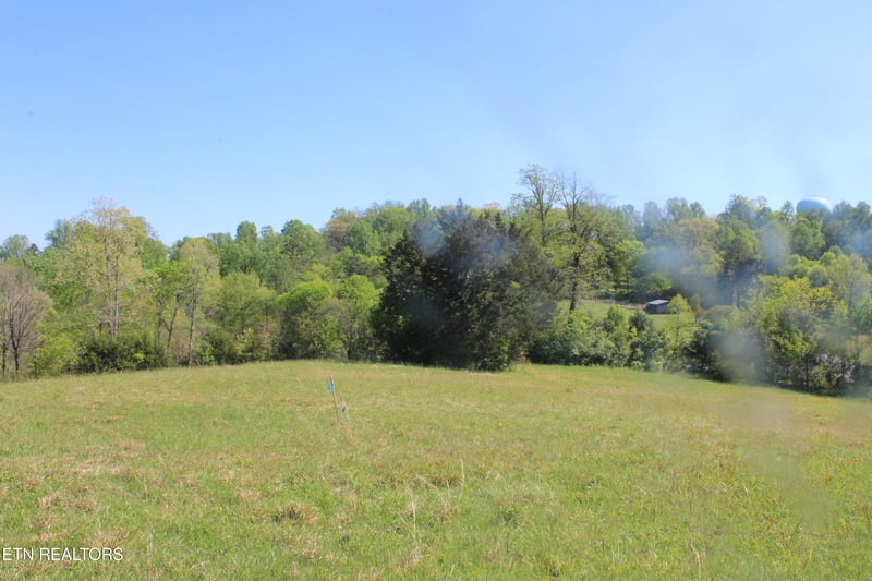 3730 Wayne Bryant Rd, Louisville, TN 37777
