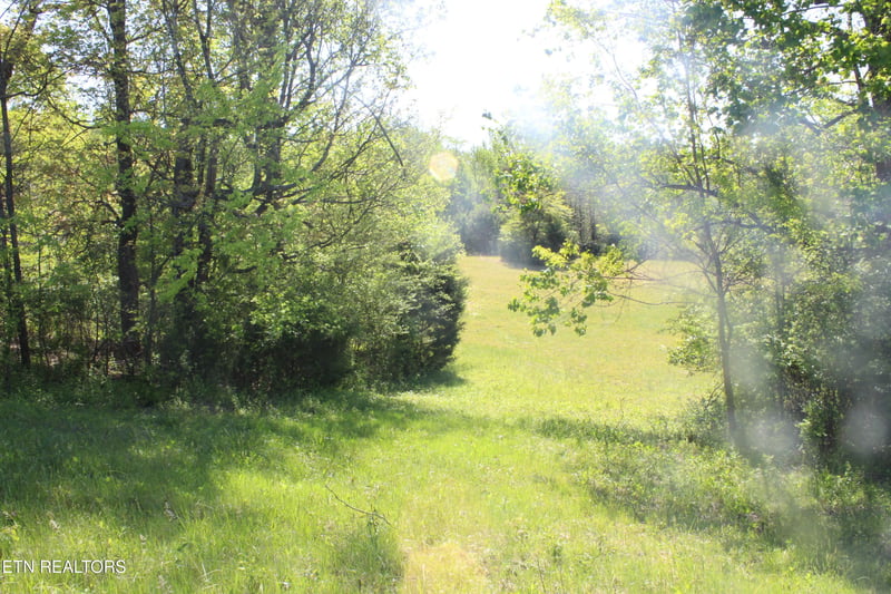 3740 Wayne Bryant Rd, Louisville, TN 37777