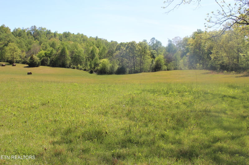3740 Wayne Bryant Rd, Louisville, TN 37777