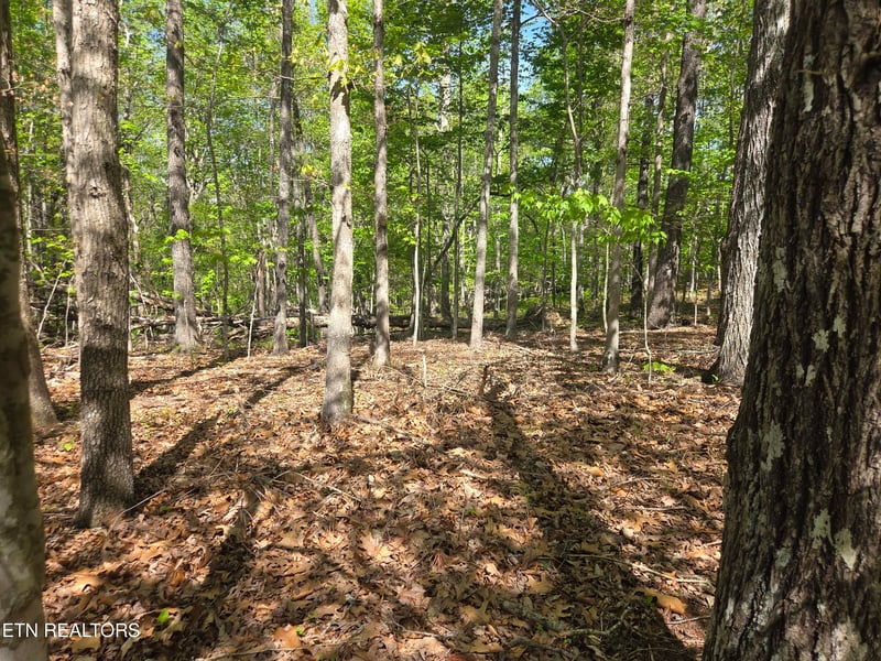 375 Rotherham Dr, Crossville, TN 38558