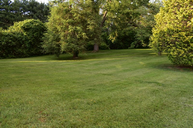 378 Dogwood Ln, Talbott, TN 37877