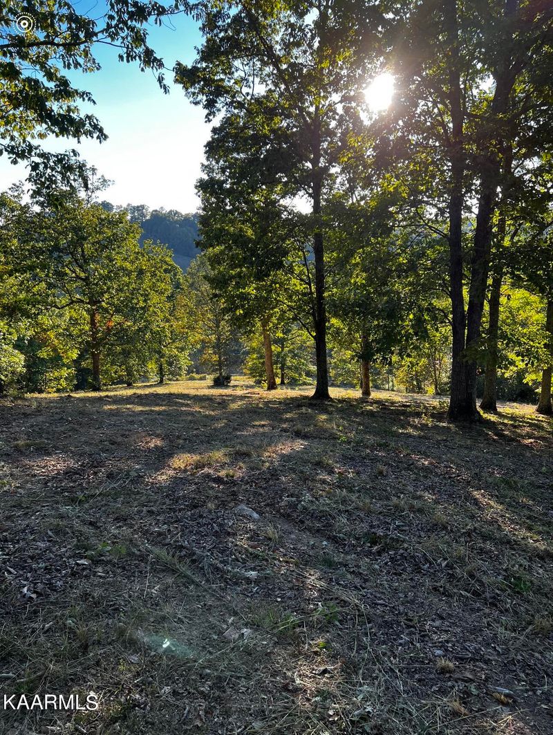 378 Johnson Hollow Rd, Sharps Chapel, TN 37866