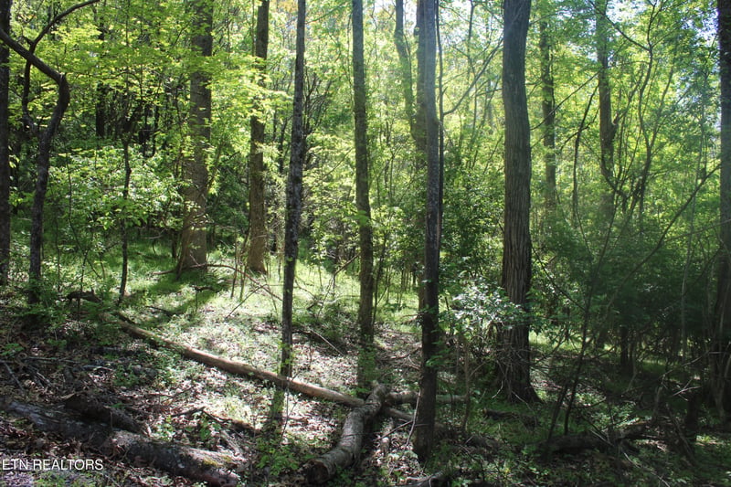 3780 Wayne Bryant Rd, Louisville, TN 37777