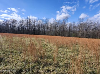 379 Christenson Rd, Deer Lodge, TN 37726
