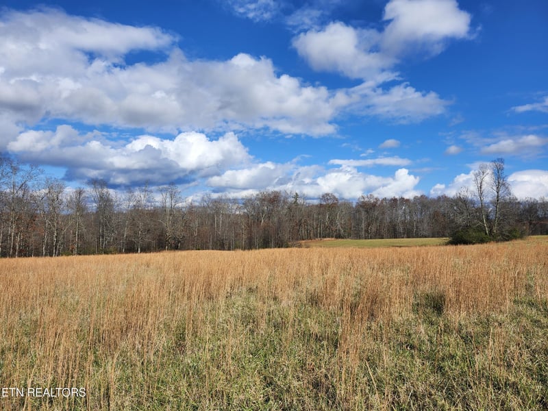 379 Christenson Rd, Deer Lodge, TN 37726