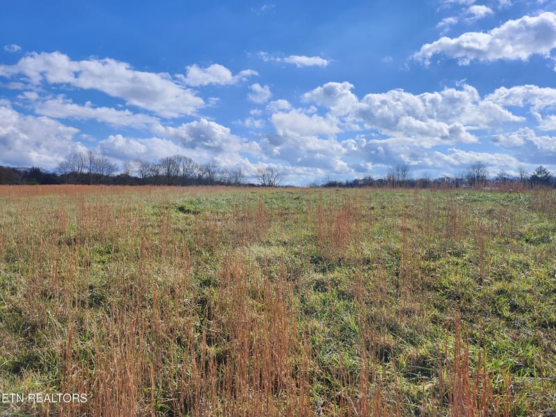 379 Christenson Rd, Deer Lodge, TN 37726
